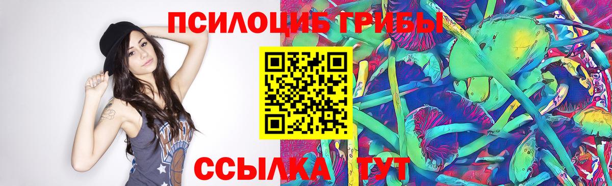 Галлюциногенные грибы мухоморы  Вход с VPN  что такое   Чистополь 